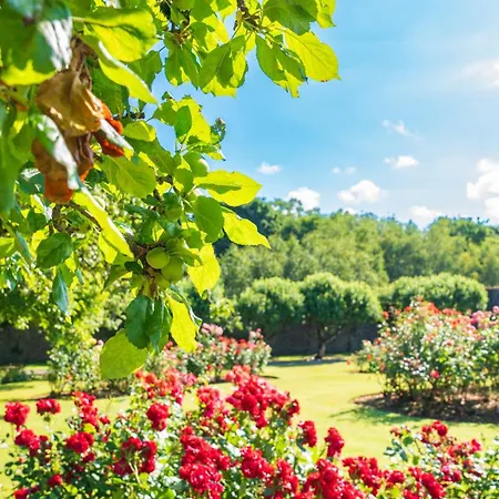 Ballymascanlon And Golf 4* دوندالك