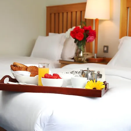 Hotel Ballymascanlon And Golf