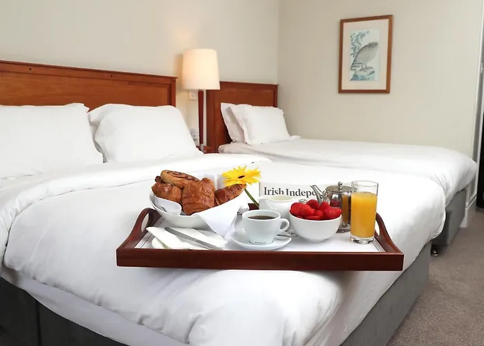 Hotel Ballymascanlon And Golf 4*