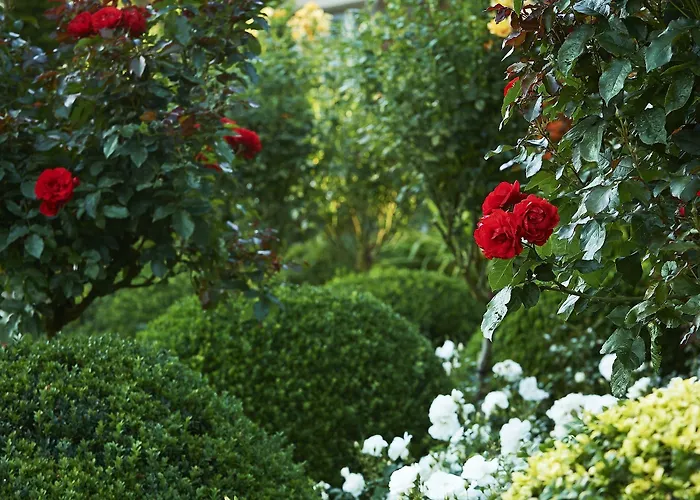 Ballymascanlon And Golf Otel 4*