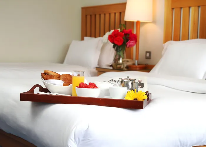 Hotel Ballymascanlon And Golf